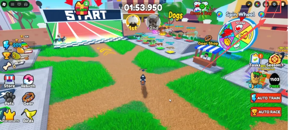 dog race settings