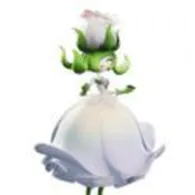 blog image17