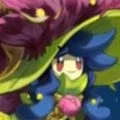 星光・麗莎布布