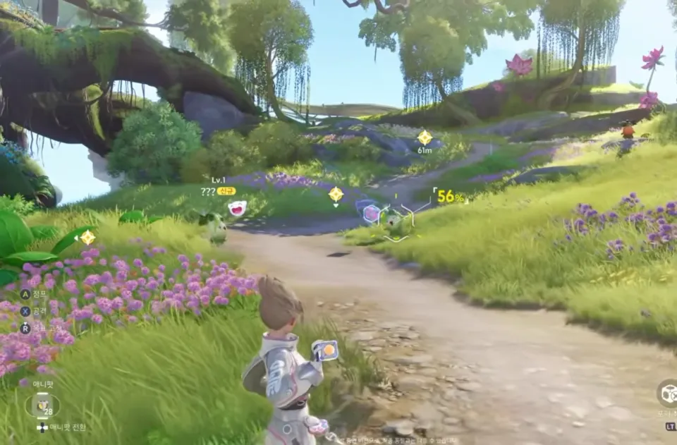 애니모 포획 방법과 실전 팁